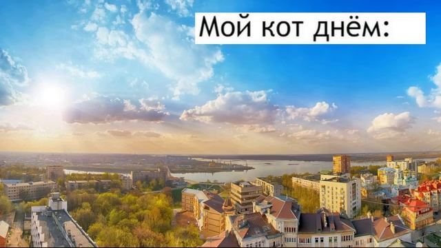 Приколы! ЗАКЛИНАНИЯ В ГАРРИ ПОТТЕРЕ – МЕМЫ - АНИМАЦИЯ!!! Смешные видео от Доми шоу!