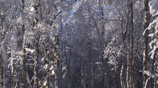 Lynx Touring Sleds 2014 смотреть онлайн