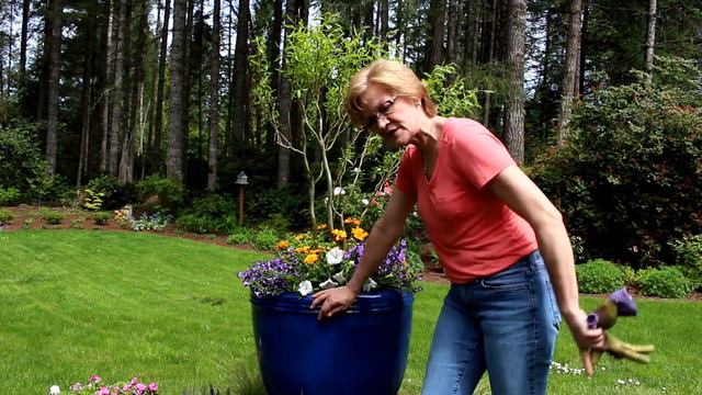 How to turn a tree stump into a centerpiece for the garden/Garden Style nw смотреть онлайн