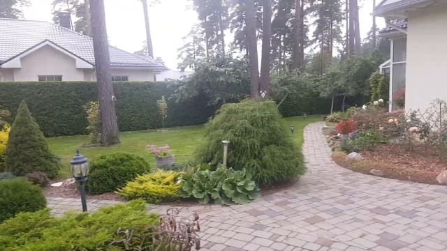 Анализ "После Стрижки" туй. OBREZKA-TUI.ru ☎ +79990008108 обрезка туй ]стрижка туй Москва смотреть онлайн