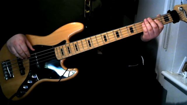 Won't Stand Down - Muse - Bass cover смотреть онлайн