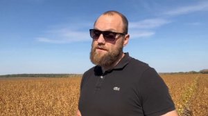 Как вносить удобрение под сою раз в три года