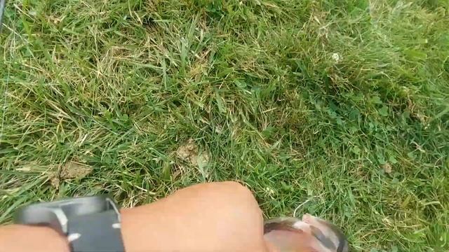 Bank Fishing for Bass and Bluegills Using the Berkley Gulp Minnows and Minnows on a Float Rig смотреть онлайн