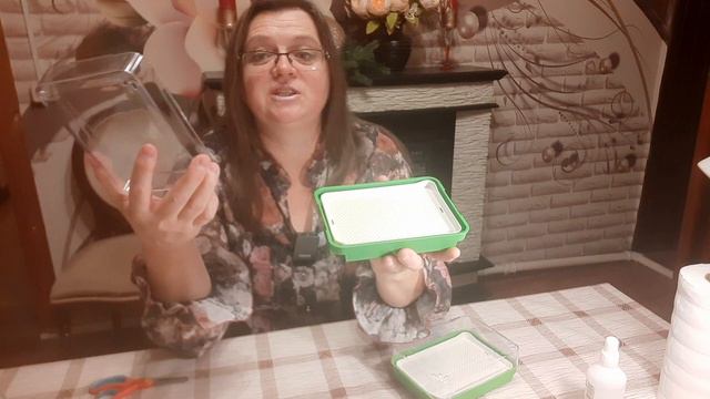 Проращиватель для семян и микрозелени. Простое решение без лишних затрат. смотреть онлайн