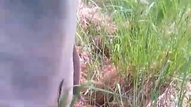 Сибирская Красавица.(ЧЕРЕМША) смотреть онлайн