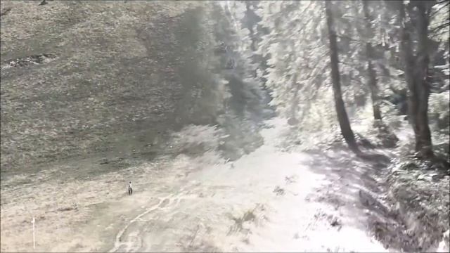 Буковель 2017 | Приключение на квадроциклах смотреть онлайн