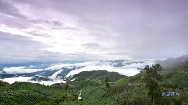 杉林溪大崙山銀杏森林 日出 山嵐 夕陽 雲海 月光瑠璃 夜景 (縮時攝影) смотреть онлайн