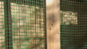 Птичник своими руками...