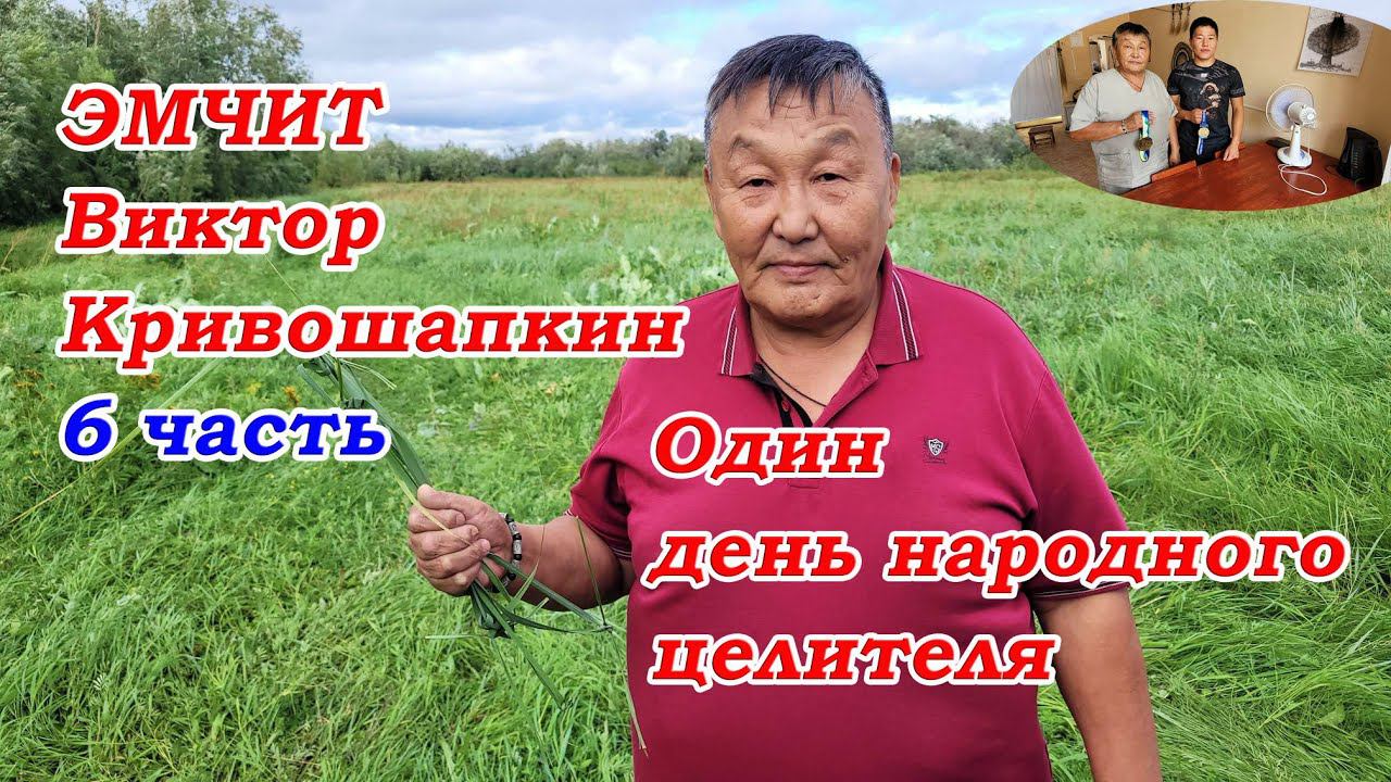 Один день из жизни целителя