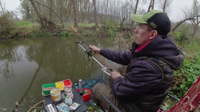 Фідерна риболовля.Стільки РИБИ я ще не БАЧИВ!Риболовля в Чехії 2022.