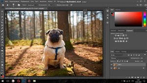 Инструмент размытие и резкость в фотошопе  Урок 7