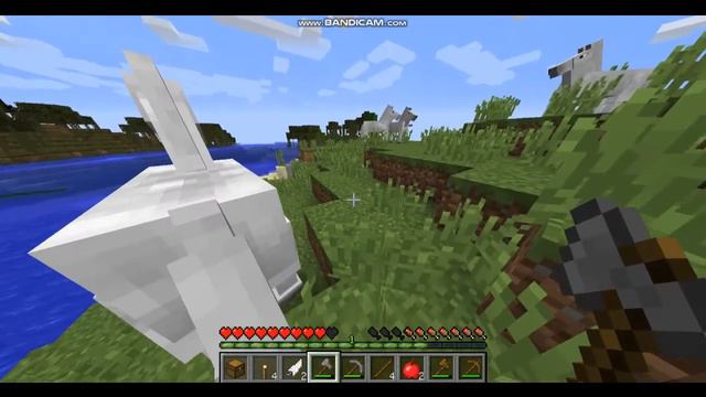 первый ролик выжа смотреть онлайн