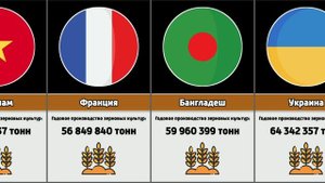Страны по производству зерновых культур