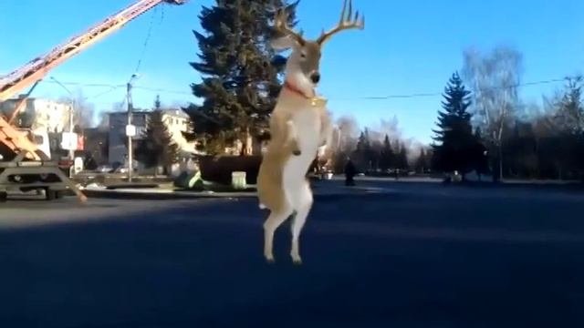Новый год приближается