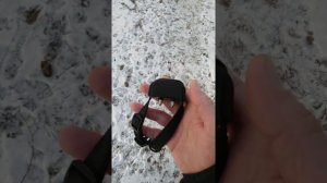 Электроошейник и ошейник Антилай .