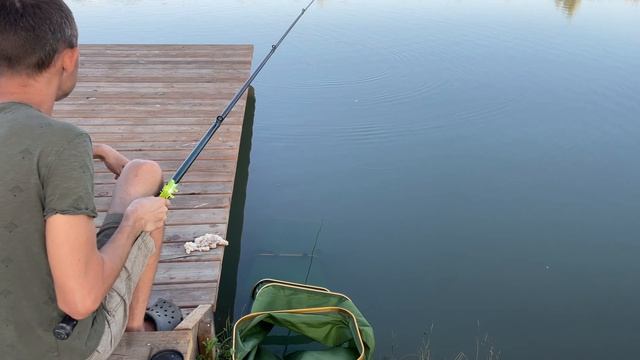 Вот она рыбалка моей мечты! Сидишь около дома и ловишь рыбу в своём пруду