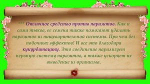 Интересные факты о тыквенных семечках