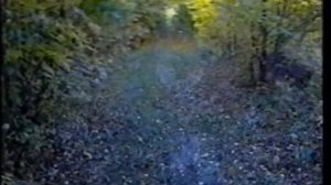 Курортная Фантазия  Санаторий Горный воздух 1998 г