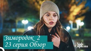Зимородок 2. Новая 23 серия. Обзор
