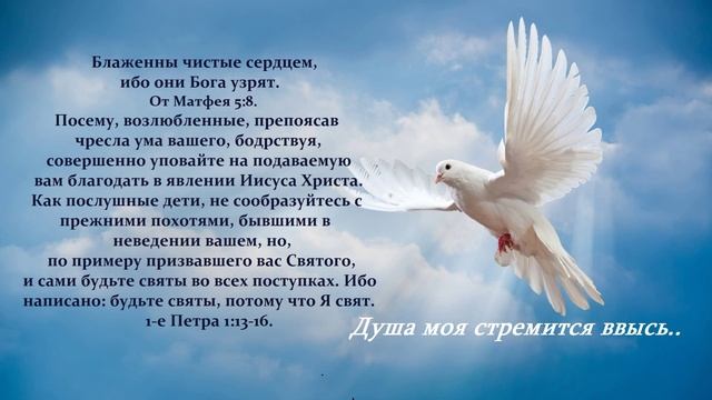 Душа моя стремится ввысь..
