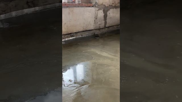 Как правильно заливать пол под ламинат или плитку смотреть онлайн