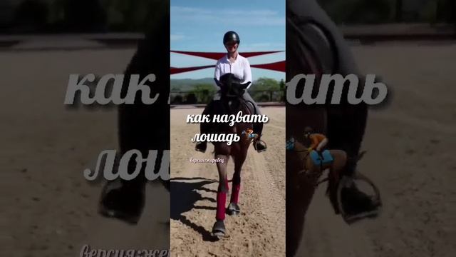 Как назвать лошадь.А вы как думаете#тренд#конныймир#рек#equestrian#конники#лошади#тикток#horse#трен