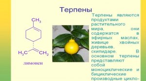 Живица: история, особенности, применение