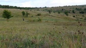 Как сделать тетиву на лук, арбалет. Самая прочная верёвка из ремня