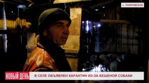 В селе объявлен карантин из-за бешеной собаки