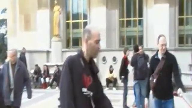 Собачья площадка