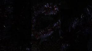 Поет .Наташа  Королева и ее сын Архип . Песня туманы .