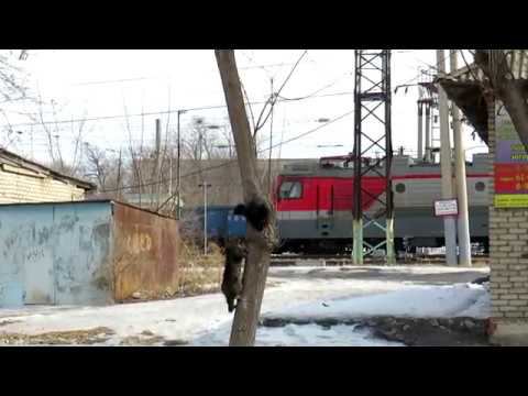 3ЭС5К-766 и кошачьи разборки смотреть онлайн