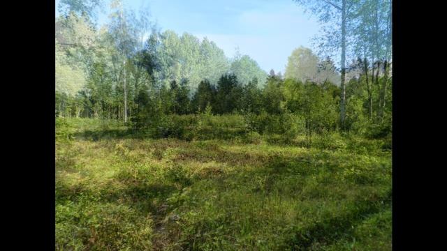 п Синево Приозерского района Лен обл рыбалка в ленинградской области смотреть онлайн