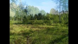 п Синево Приозерского района Лен обл рыбалка в ленинградской области