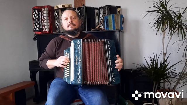 #колядка_Нова_радість_стала#гармонь#