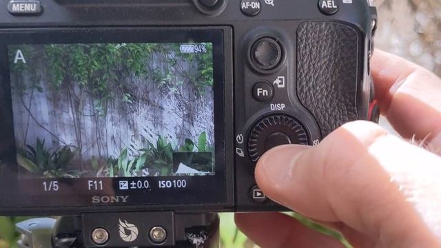 Aperture Priority – EASIER Than Manual Mode! смотреть онлайн