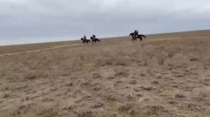 Бега Рысаков