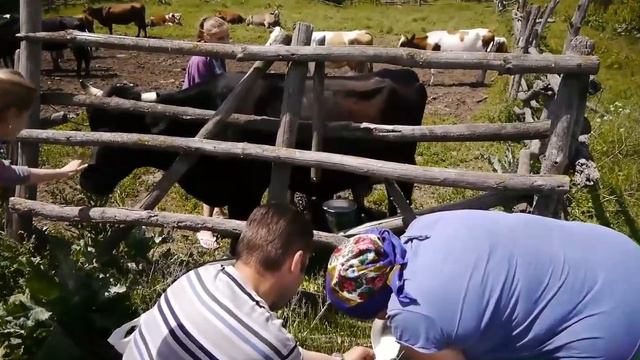 Десоветизация поколений СССР