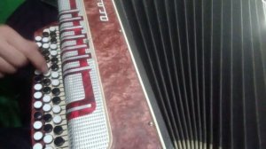 Гранитный камешек Божья коровка баян разбор