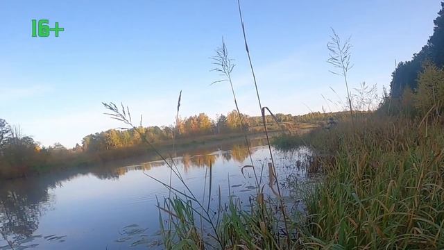Рыбалка на спиннинг осенью, бабье лето смотреть онлайн