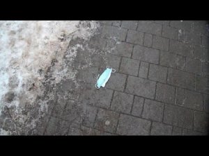 Ковидотеррор. Начало 2021 и перспективы.