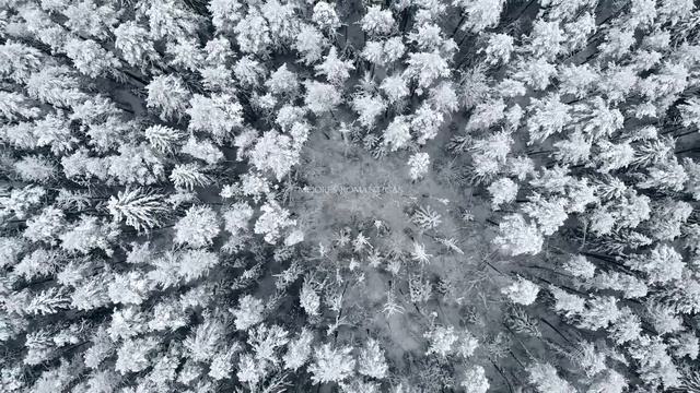 ♫ Lo Mejor De Leo Rojas ♫ The Best Of Leo Rojas ♫ Best of Pan Flute смотреть онлайн