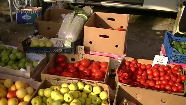 Ужасы крымской блокады 2 (октябрьские) смотреть онлайн