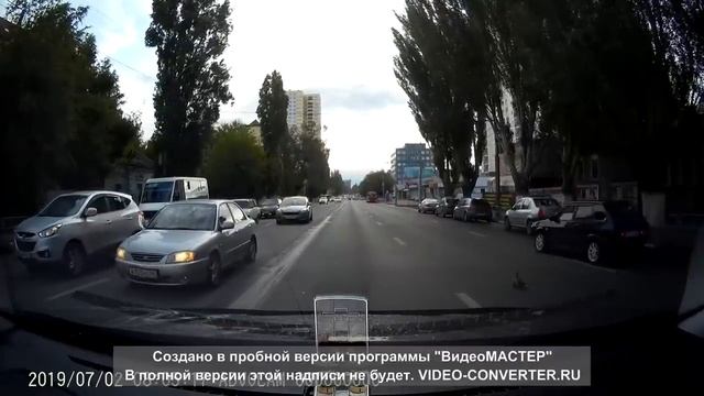 В Саратове автомобилисты остановились чтобы пропустить утку с птенцами