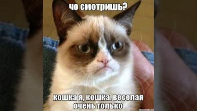 Смишние шутки 2 видео.