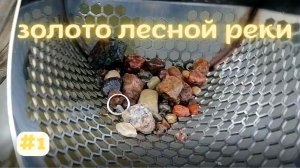 Коп монет и золота зимой в реке. Поплавали на отлично!