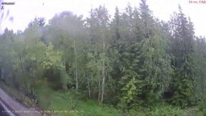 Железная дорога Сыня - Юкост - Усинск  (вид из окна поезда, восточная сторона) (СЖД)