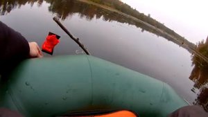 ЛОВЛЯ ЩУКИ? НА КРУЖКИ ОСЕНЬЮ.