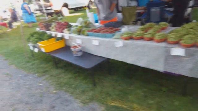 На базаре первый раз этим летом - Влог 42 многодетной семьи Савченко vlog смотреть онлайн