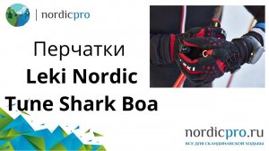 Перчатки Leki Nordic Tune Shark Boa для скандинавских палок